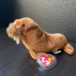 Paul 🦭 •TY Beanie baby original collection from the 90’s and 2000’s